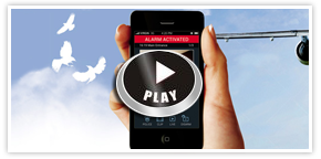 ADA Prime Security: Security Service Townsville